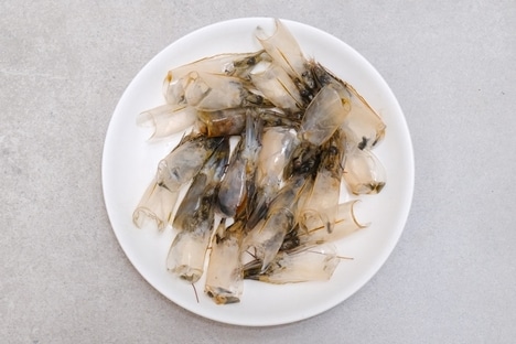Seafood Waste Materials