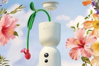 AI-Powered Hummingbird Feeders