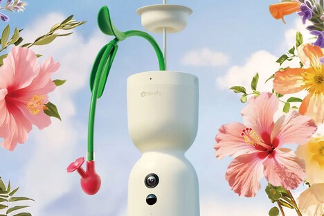 AI-Powered Hummingbird Feeders