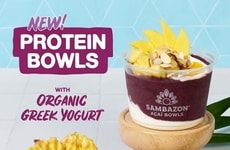 Modest Protein Yogurt Bowls