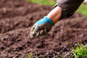 Sustainable Fertilizer Productions Article Thubnail