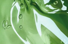 Vegan-Friendly Gelatin Alternatives