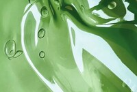 Vegan-Friendly Gelatin Alternatives Image 1