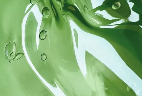 Vegan-Friendly Gelatin Alternatives