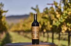 Curated Wine Selections