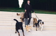 Couture Canine Accessories