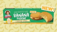 Comforting Pudding Snack Cakes
