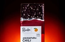 Spicy Umami Chocolates
