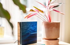 Modern Digital Art Displays