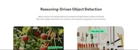 Reasoning Object Detection