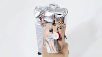 Qsr-Branded Travel Collections Image 4