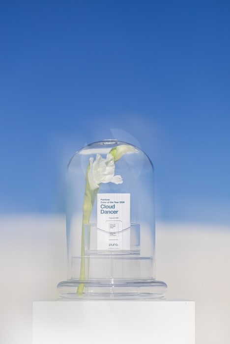 Color-Centric Calming Fragrances