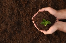 Soil Regeneration Events Article Thumbnail