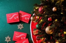 Exquisite Holiday Chocolates