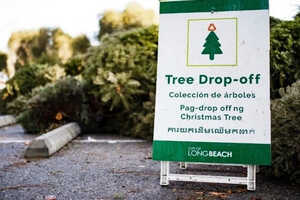 Holiday Tree Recycling Initiatives Article Thubnail