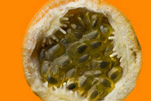 Passionfruit Gel Formulas Article Thubnail