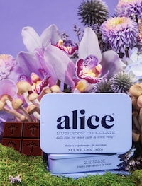 Functional Stress Relief Chocolates Image 1