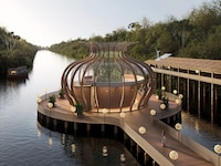 Bamboo Forest Structures