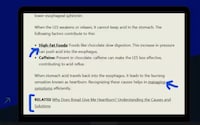 Automated SEO Managers