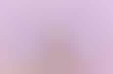 Metabolic Function-Supporting Formulas