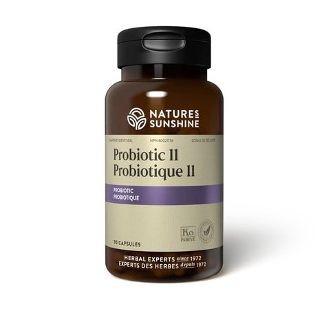 Powerful Probiotic Supplements