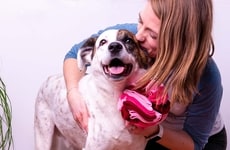 Interactive Canine Toys