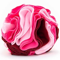Interactive Canine Toys Image 2