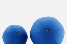 Oversized Spherical Dog Toys