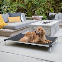 Durable Minimalist Dog Beds