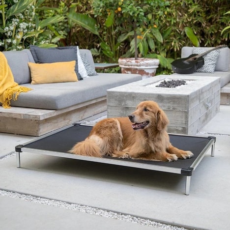 Durable Minimalist Dog Beds