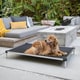 Durable Minimalist Dog Beds Image 1
