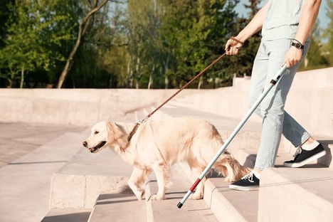 AI-Powered Mobility Aids
