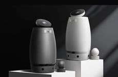 Roving Wellness Robots