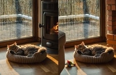 Text-Based Image Editing