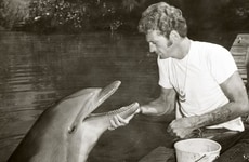 Dolphin Conservation Initiatives