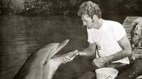 Dolphin Conservation Initiatives