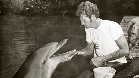 Dolphin Conservation Initiatives