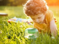 Interactive Educational Bug Games Image 7