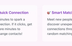 Real-Time Video Matching