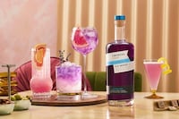 Alcohol-Free Gin Launches