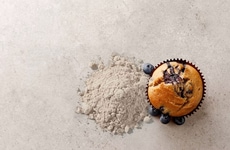 Texturizing Pea Proteins