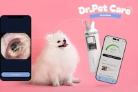Smart Pet Thermometers Image 1