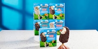 Super-Premium Ice Cream Bars Image 2