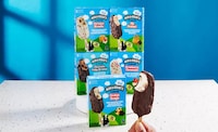 Artisanal Ice Cream Bars Image 1