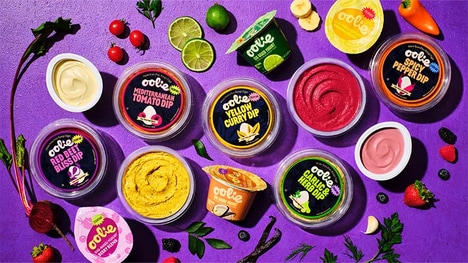 D2C Dairy-Free Product Platforms