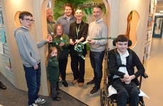 Purpose-Built Accessible Libraries