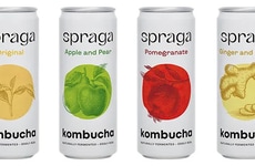 Functional Flavor Canned Kombuchas