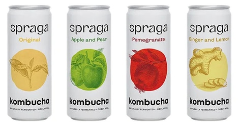 Functional Flavor Canned Kombuchas