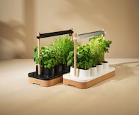 Indoor Herb Systems