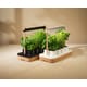 Indoor Herb Systems Image 1